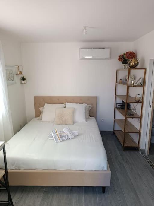 Charmant Studio Avec Piscine Villemoustaussou Zewnętrze zdjęcie