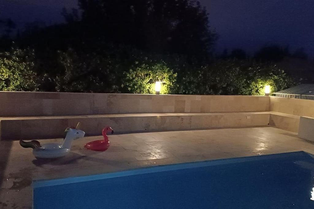 Charmant Studio Avec Piscine Villemoustaussou Zewnętrze zdjęcie